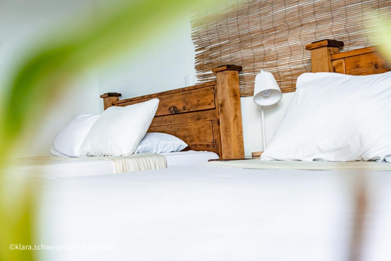 Lost In San Jose Hotel & Hostel Екстер'єр фото