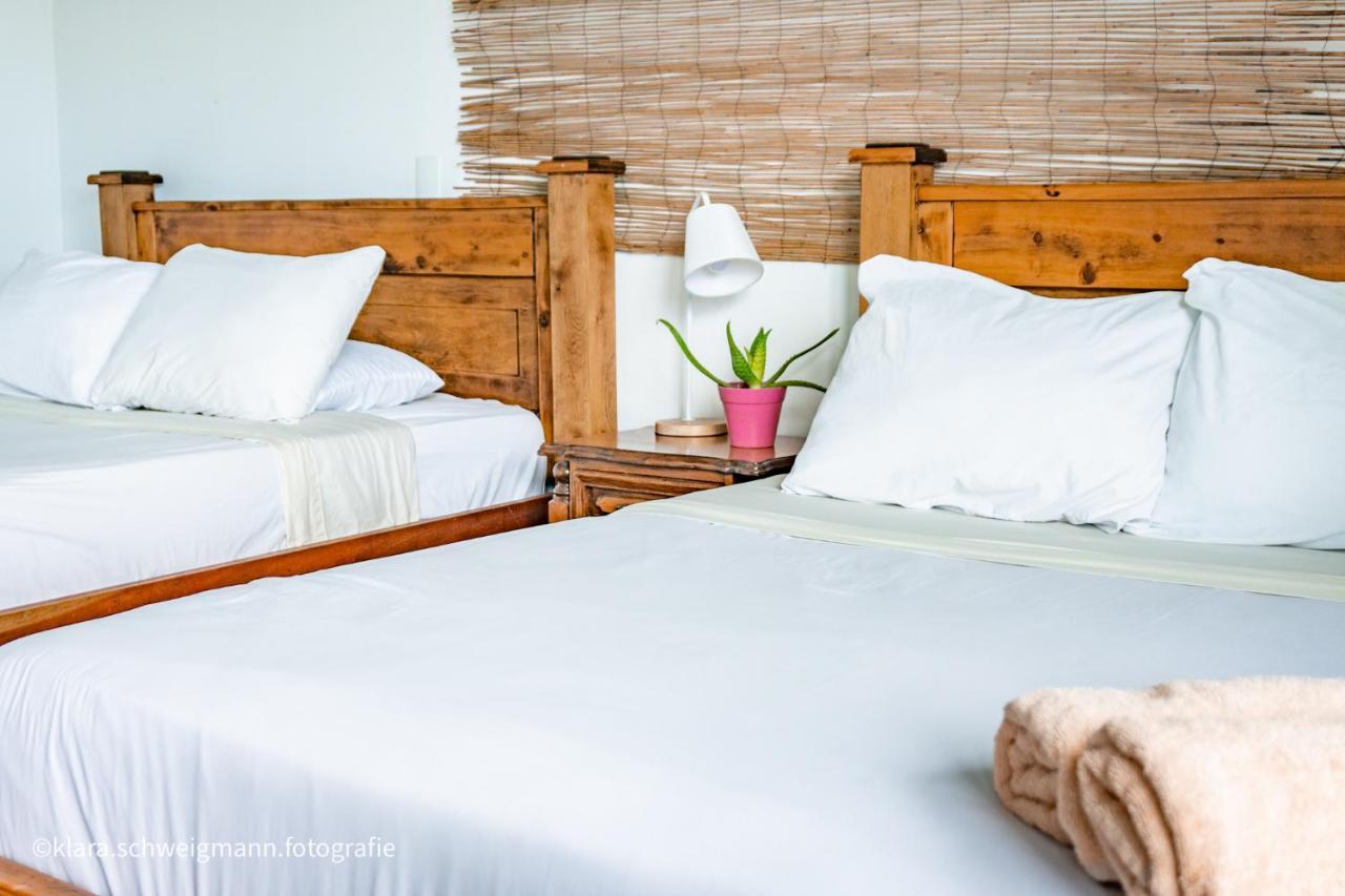 Lost In San Jose Hotel & Hostel Екстер'єр фото