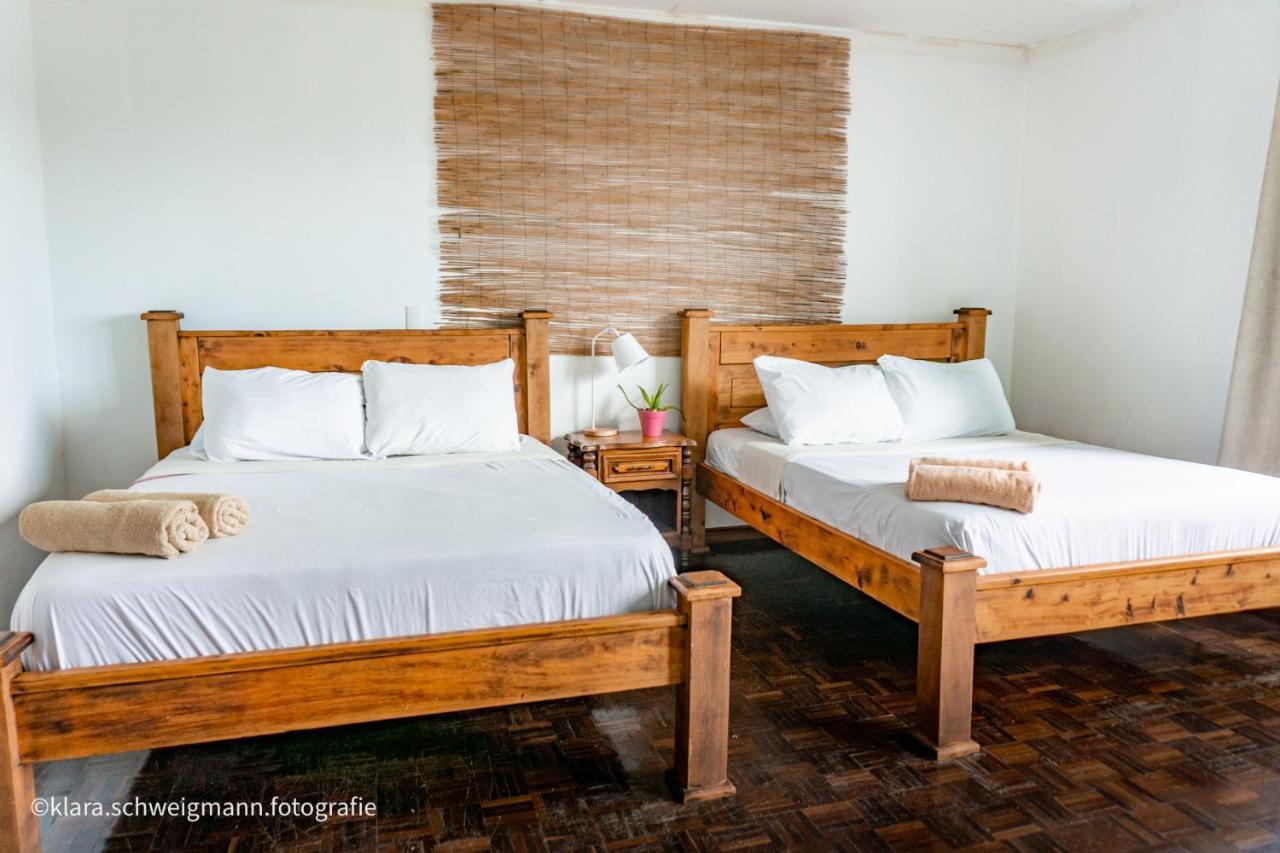 Lost In San Jose Hotel & Hostel Екстер'єр фото