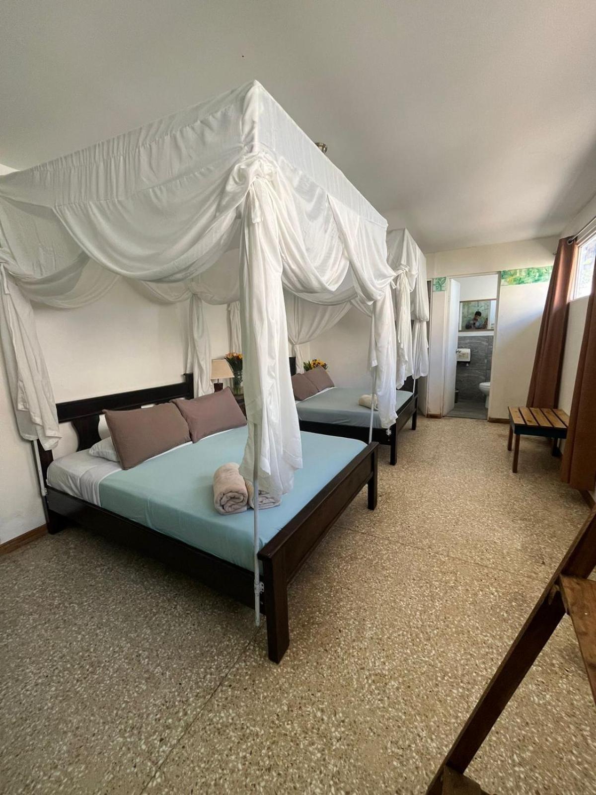 Lost In San Jose Hotel & Hostel Екстер'єр фото