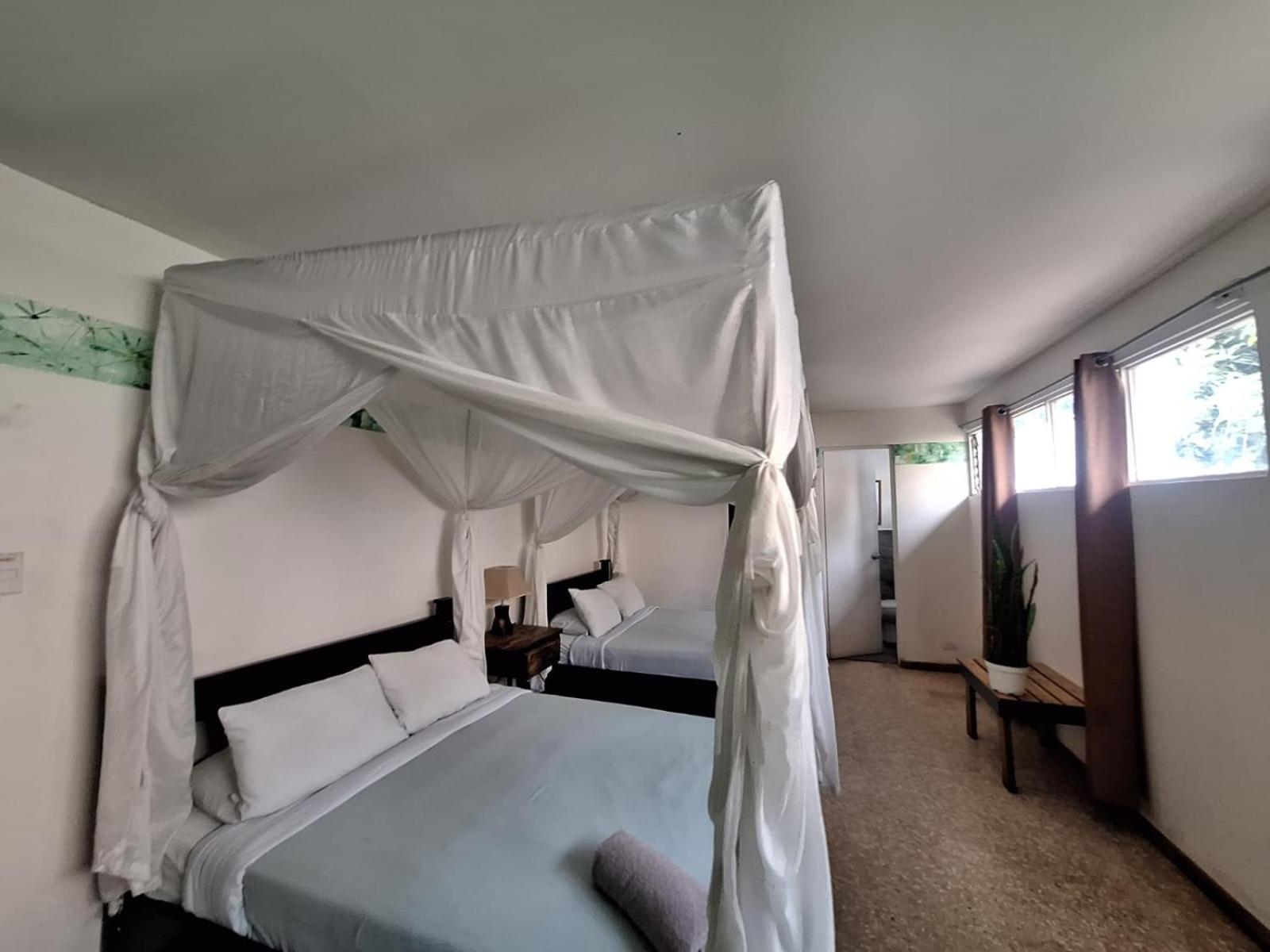 Lost In San Jose Hotel & Hostel Екстер'єр фото